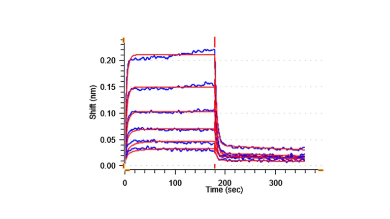 Functional Studies - Recombinant Human Poliovirus Receptor/PVR Protein (His-tag) (Active) (AB307790)