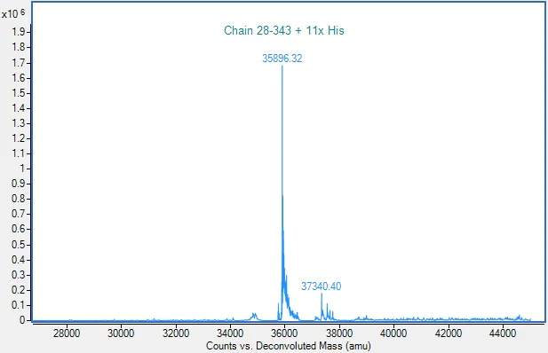 Mass Spectrometry - Recombinant Human Poliovirus Receptor/PVR Protein (His-tag) (Active) (AB307790)