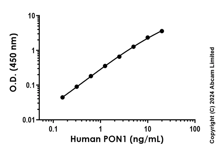 Sandwich ELISA - Recombinant Human PON1 Protein Standard (His tag) (AB323004)