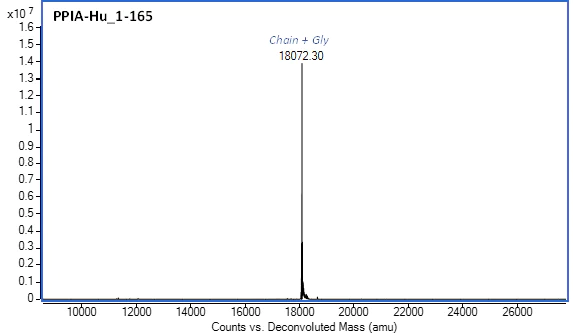 Mass Spectrometry - Recombinant Human PP1A Protein (AB290069)