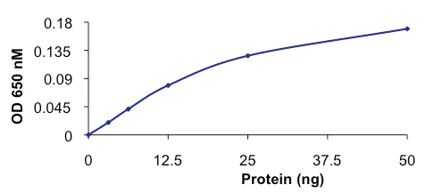Functional Studies - Recombinant human PPM1G protein (AB128553)