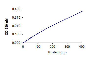 Functional Studies - Recombinant human PPP1A/PPP1CA protein (AB128559)