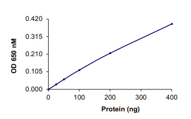 Functional Studies - Recombinant human PPP1A/PPP1CA protein (AB128559)
