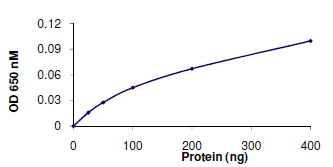 Phosphatase Activity - Recombinant human PPP1A/PPP1CA protein (AB128559)