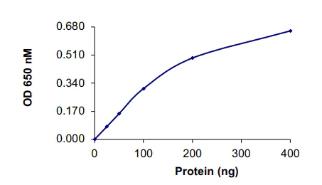 Functional Studies - Recombinant human PPP1CB (AB128551)