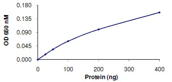 Phosphatase Activity - Recombinant human PPP1CB (AB128551)
