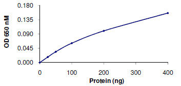 Phosphatase Activity - Recombinant human PPP1CB (AB128551)