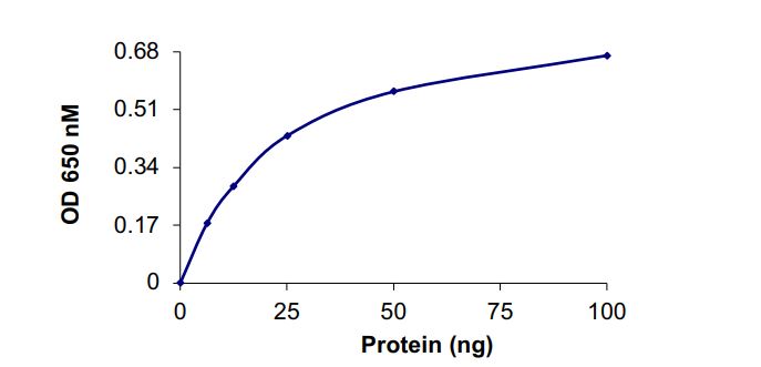 Functional Studies - Recombinant human PPP2R1A + PP2A alpha protein (Active) (AB268879), expandable thumbnail