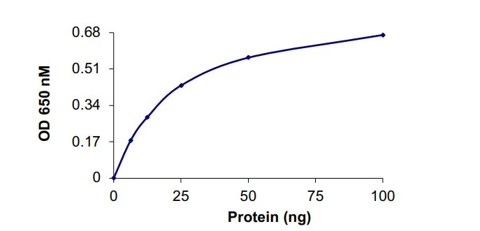 Functional Studies - Recombinant human PPP2R1A + PP2A alpha protein (Active) (AB268879)