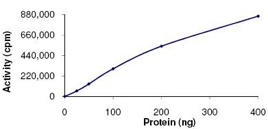 Functional Studies - Recombinant human PRAK/MK5 protein (AB125743), expandable thumbnail