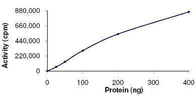 Functional Studies - Recombinant human PRAK/MK5 protein (GST tag N-Terminus) (AB125743)
