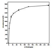 Recombinant Human PRAME protein
