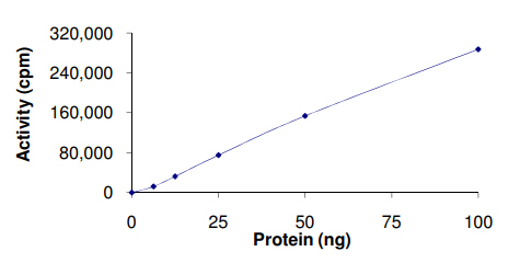 Functional Studies - Recombinant human PRKAA2 + PRKAB2 + PRKAG1 protein (AB126911), expandable thumbnail
