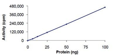 Functional Studies - Recombinant human PRKAA2 + PRKAB2 + PRKAG1 protein (AB126911), expandable thumbnail