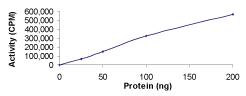 Functional Studies - Recombinant human PRKACG protein (AB60838), expandable thumbnail
