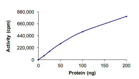 Functional Studies - Recombinant human PRKACG protein (AB60838), expandable thumbnail