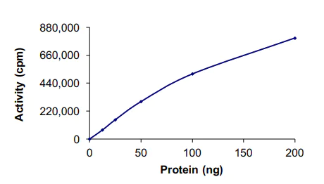 Functional Studies - Recombinant human PRKACG protein (AB60838)
