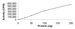 Functional Studies - Recombinant human PRKACG protein (GST tag N-Terminus) (AB60838)
