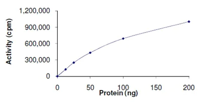 Functional Studies - Recombinant human PRKD2 (mutated G870E) protein (AB167923)