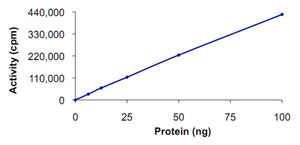 Functional Studies - Recombinant human PRKX protein (AB125604)