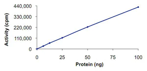Functional Studies - Recombinant human PRKX protein (AB125604)