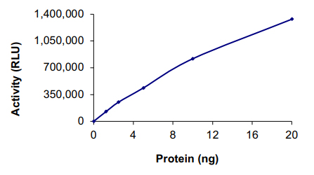 Recombinant human PRMT1 protein
