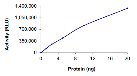 Functional Studies - Recombinant human PRMT1 protein (AB167927)