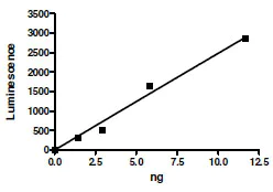 Functional Studies - Recombinant human PRMT1 protein (Active) (AB198122)
