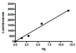 Functional Studies - Recombinant human PRMT1 protein (Active) (His tag N-Terminus + GST tag N-Terminus) (AB198122)