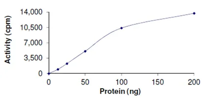 Functional Studies - Recombinant human PRMT1 protein (GST tag N-Terminus) (AB167927)