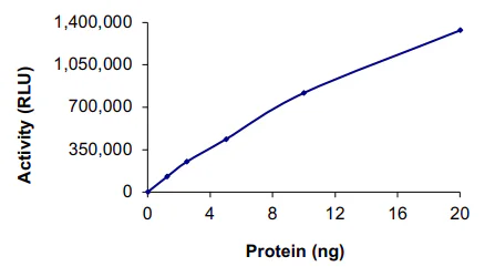 Functional Studies - Recombinant human PRMT1 protein (GST tag N-Terminus) (AB167927)