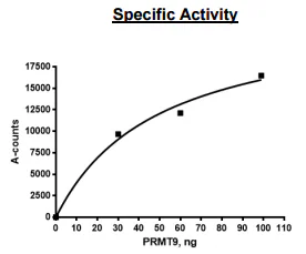 Functional Studies - Recombinant human PRMT10 protein (Active) (DDDDK N-Terminus + Strep C-Terminus) (AB271723)