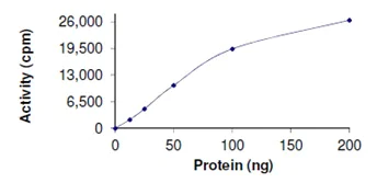 Functional Studies - Recombinant human PRMT3 protein (AB167953)