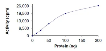 Functional Studies - Recombinant human PRMT3 protein (GST tag N-Terminus) (AB167953)