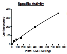 Functional Studies - Recombinant human PRMT5 + MEP50 protein (Active) (AB271721)