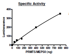 Functional Studies - Recombinant human PRMT5 + MEP50 protein (Active) (AB271721)