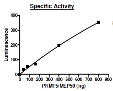 Functional Studies - Recombinant human PRMT5 + MEP50 protein (Active) (DDDDK tag N-Terminus, His tag N-Terminus) (AB271721)