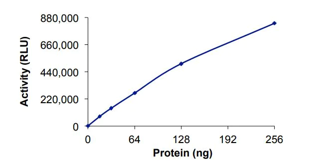 Functional Studies - Recombinant human PRMT6 protein (Active) (AB268890)