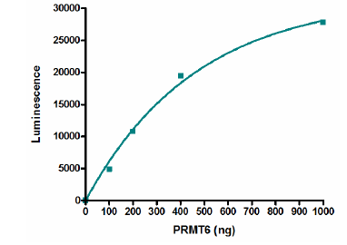 Functional Studies - Recombinant human PRMT6 protein (His tag N-Terminus) (AB196434)
