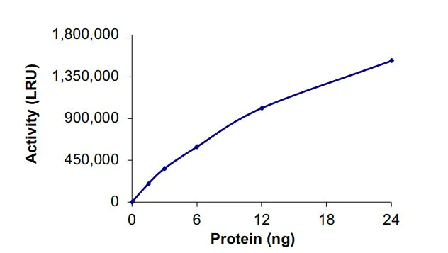 Functional Studies - Recombinant human PRMT8 protein (Active) (AB268892)