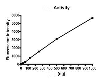 Functional Studies - Recombinant human Prolyl Endopeptidase protein (AB80376)