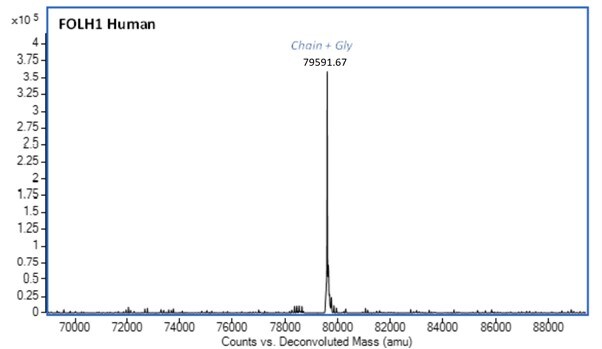 Mass Spectrometry - Recombinant Human PSMA Protein (AB283938)