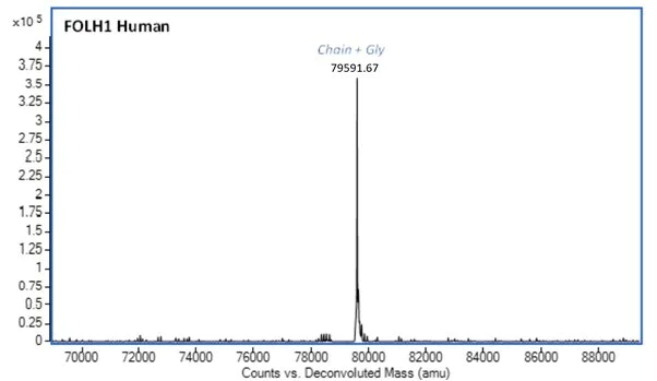 Mass Spectrometry - Recombinant Human PSMA Protein (AB283938)