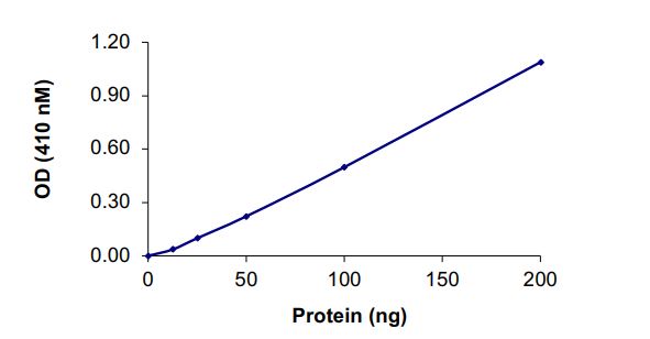 Functional Studies - Recombinant human PTP1B protein (Active) (AB268897), expandable thumbnail
