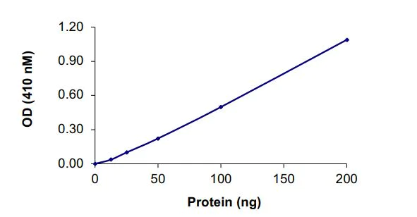 Functional Studies - Recombinant human PTP1B protein (Active) (AB268897)