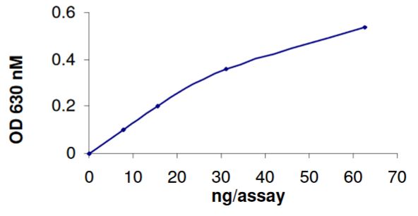 Recombinant human PTPN12 protein (Tagged)