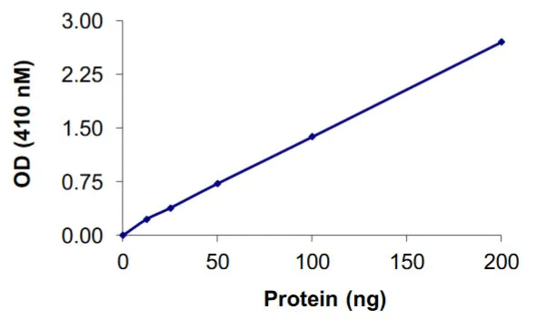 Functional Studies - Recombinant human PTPN13/FAP-1 protein (Active) (AB268902)