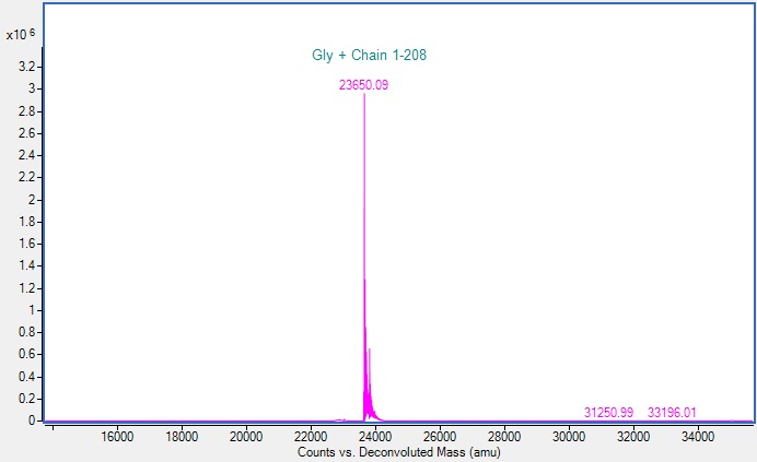 Mass Spectrometry - Recombinant Human Rab-6 protein (AB309954), expandable thumbnail