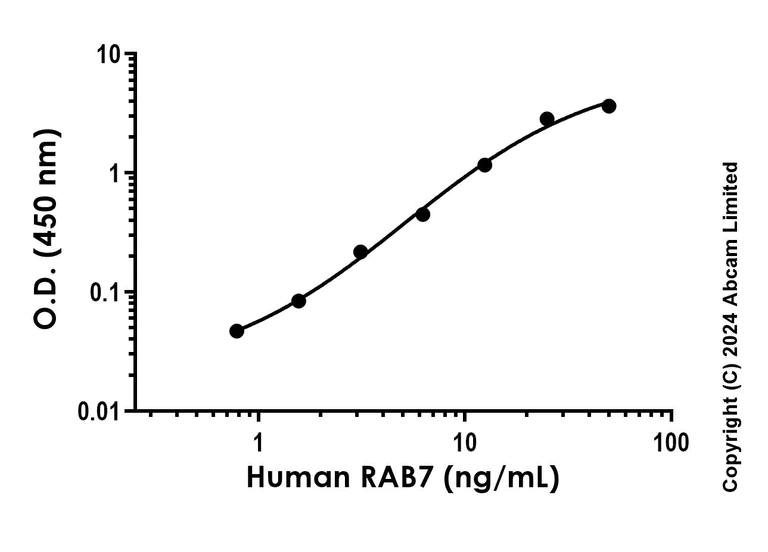 Sandwich ELISA - Recombinant Human RAB7 Protein Standard (His tag) (AB323070)