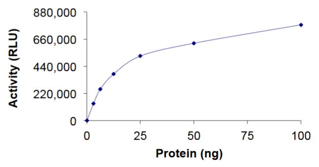 Functional Studies - Recombinant human RAC2 protein (Active) (AB268913), expandable thumbnail